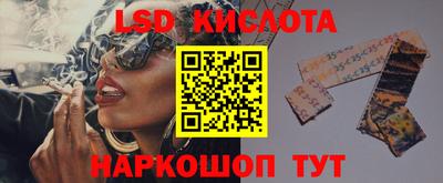 сатива Краснодар