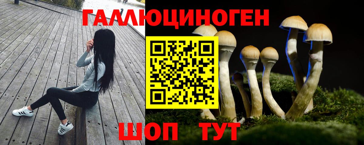 Южно-Сахалинск  Псилоцибиновые грибы Cubensis  Вход с VPN 
